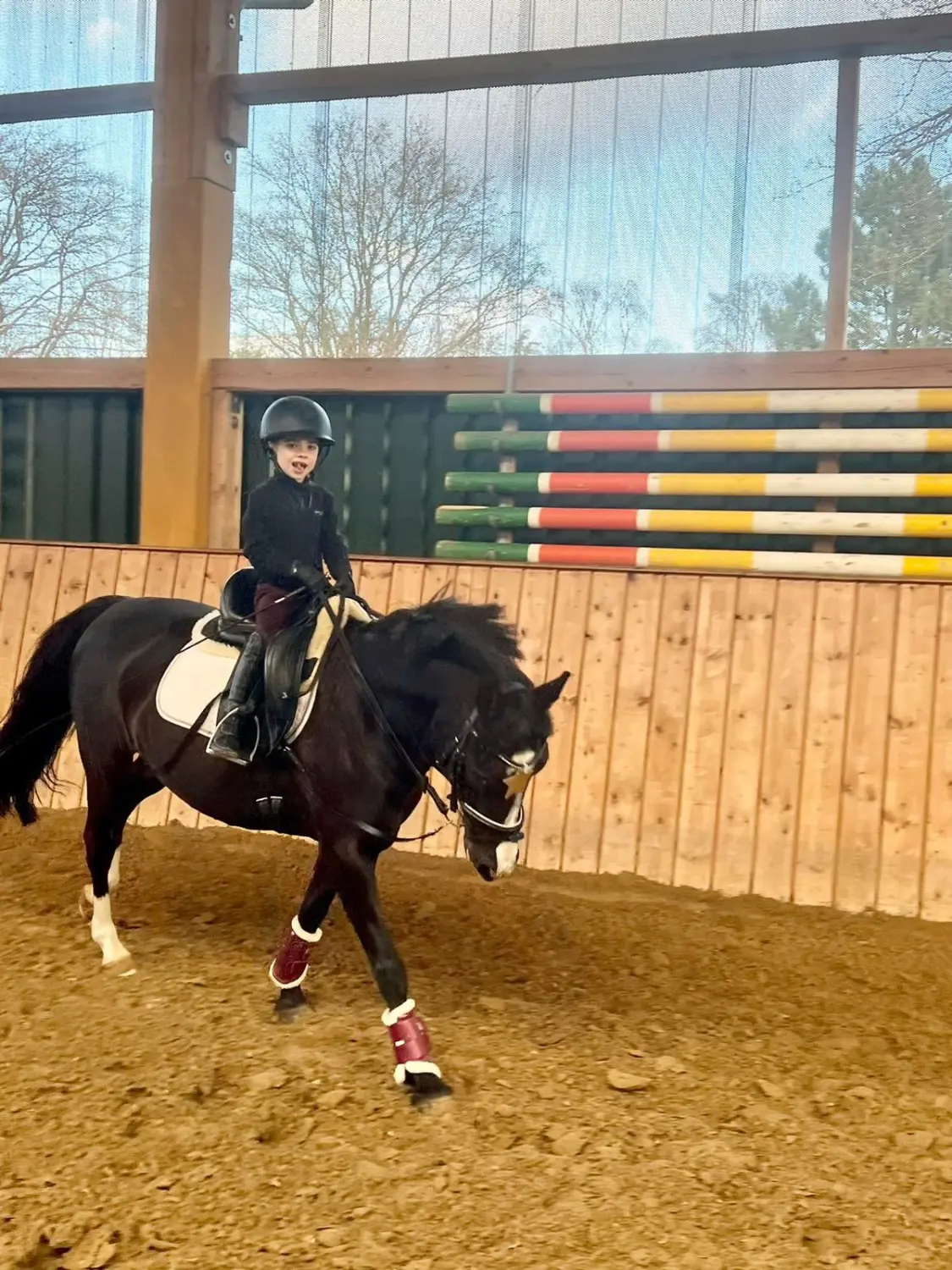 Reitunterricht für Anfänger in Düsseldorf/Essen/ Mülheim 