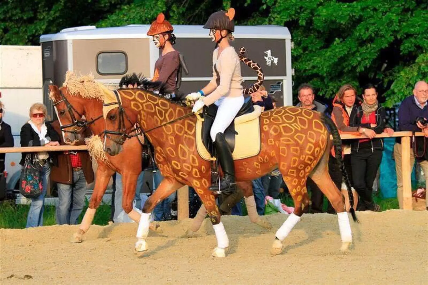 Reitunterricht für Anfänger in Düsseldorf/Essen/ Mülheim 