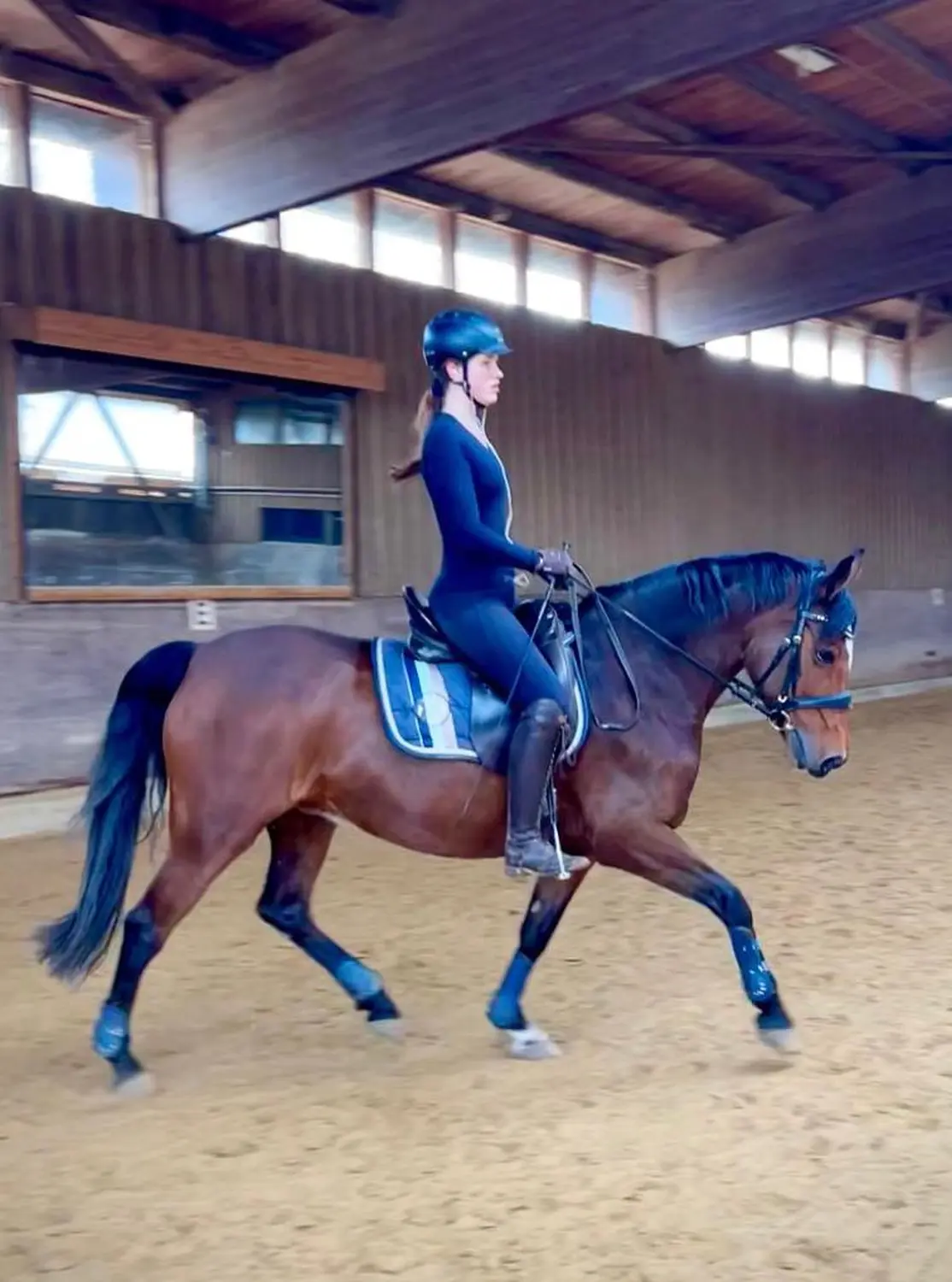 Reitunterricht für Anfänger in Düsseldorf/Essen/ Mülheim 