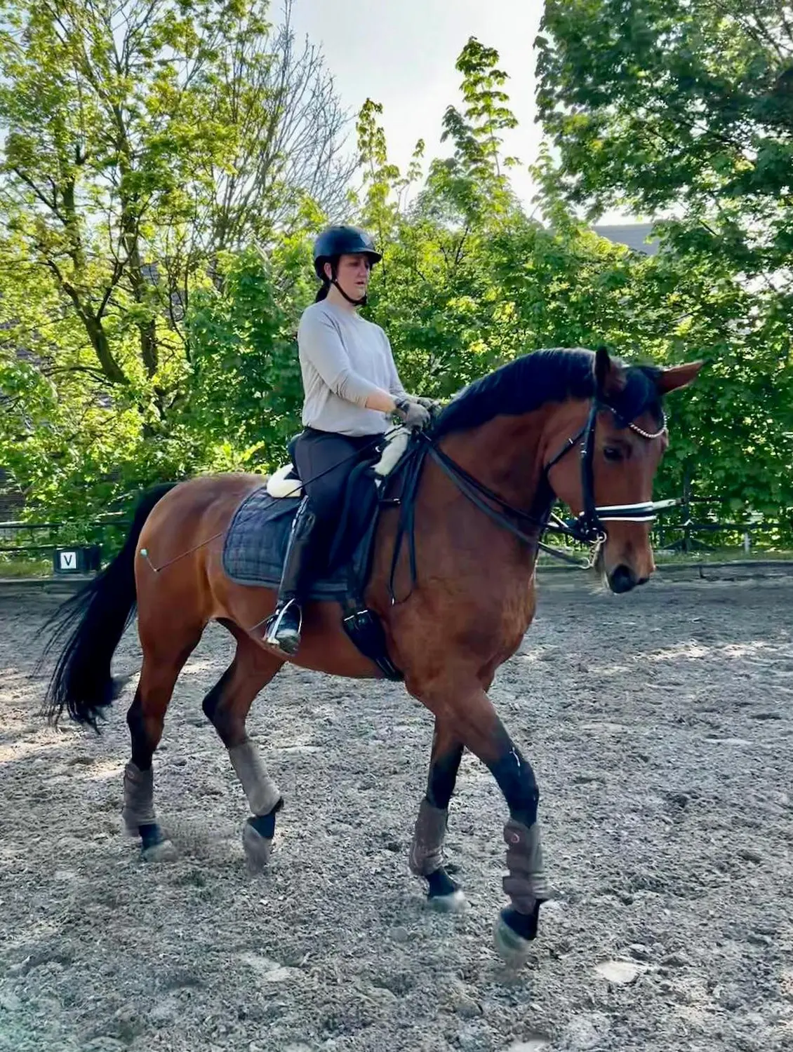 Mobiler Reitunterricht in der Nähe 