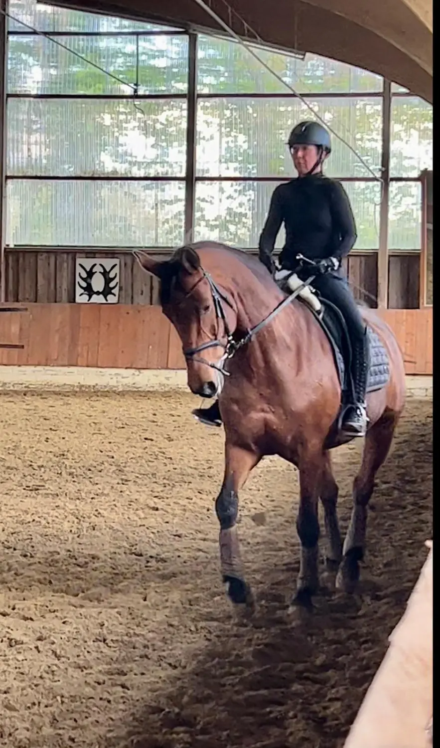 Reitunterricht für Anfänger in Düsseldorf/Essen/ Mülheim 