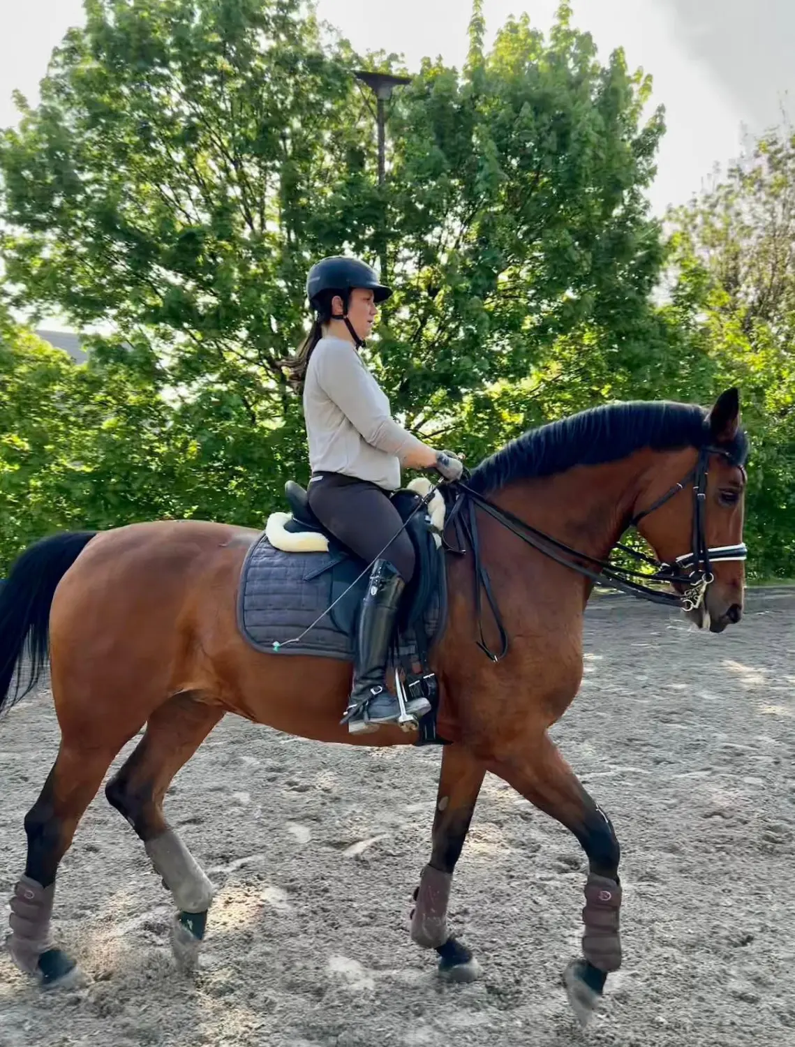 Mobiler Reitunterricht in Essen 