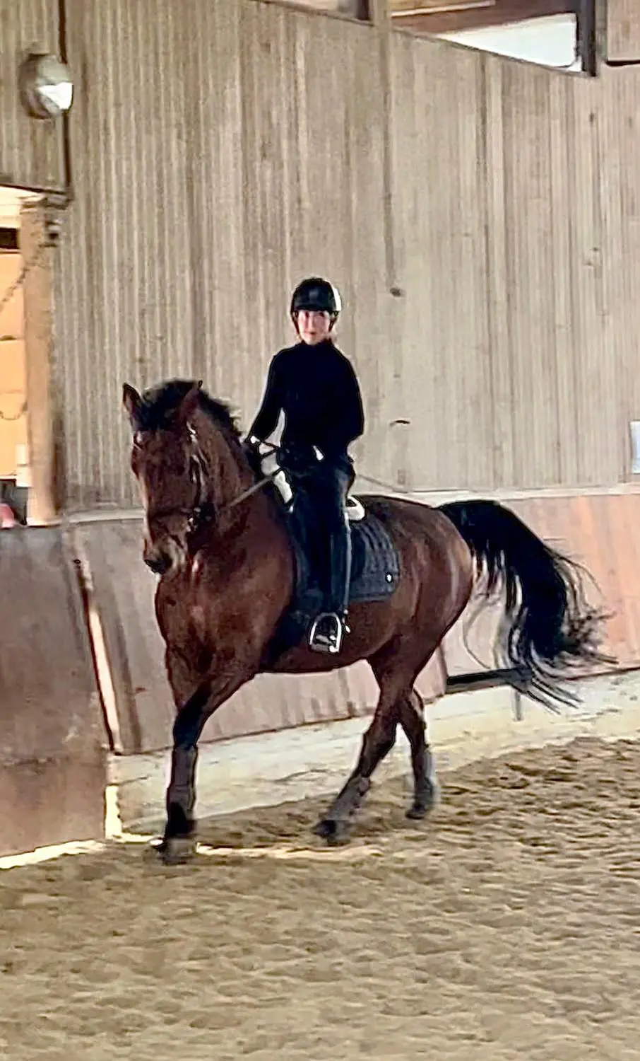 Reitunterricht für Kinder in Düsseldorf /Essen /Mülheim 