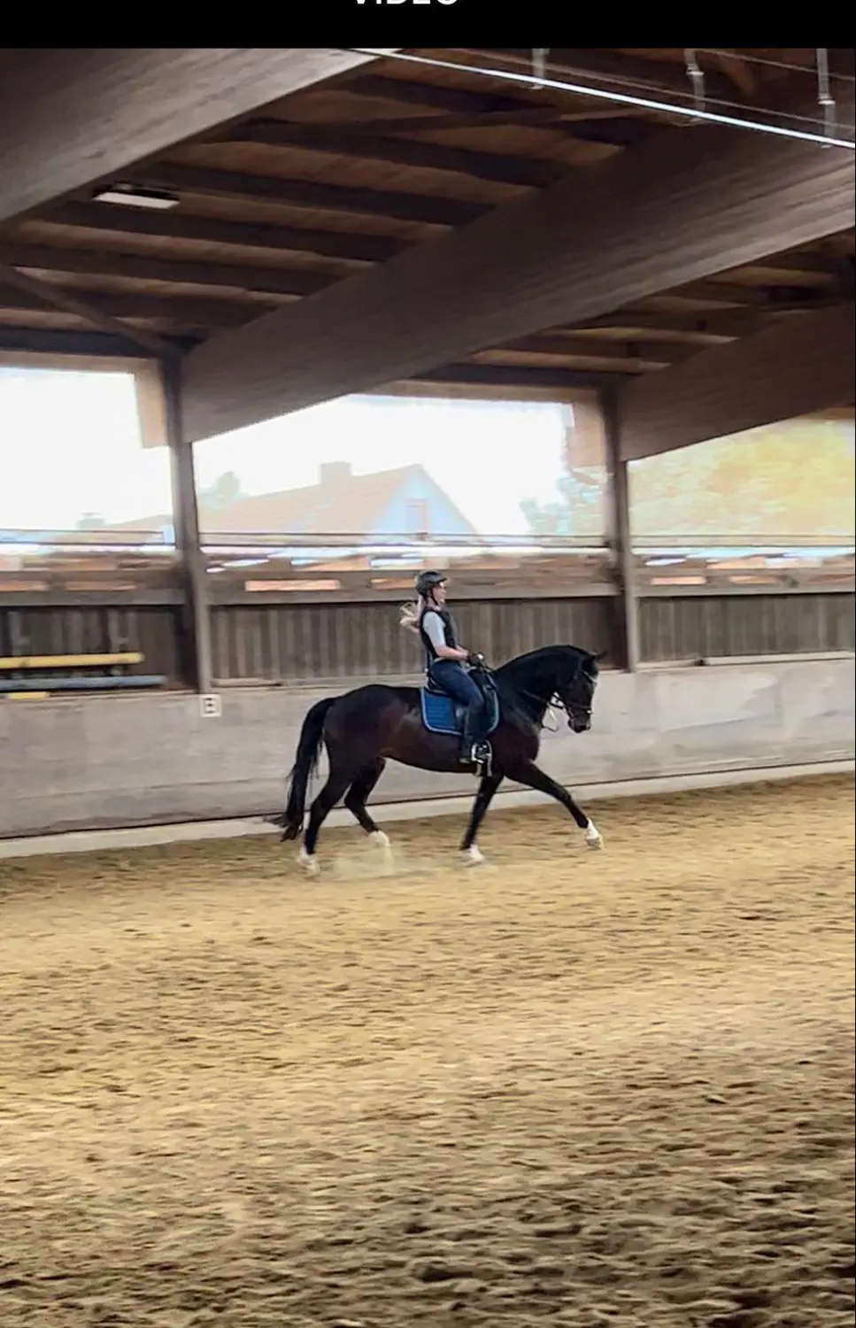 Reitunterricht für Anfänger in Düsseldorf/Essen/ Mülheim 