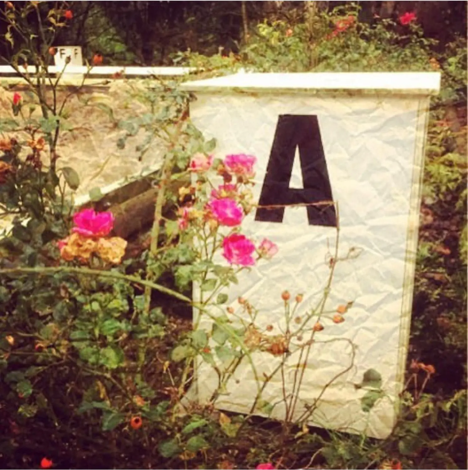 Alphabet A auf einem Betonstein mit rosa Blumen von Capitain
