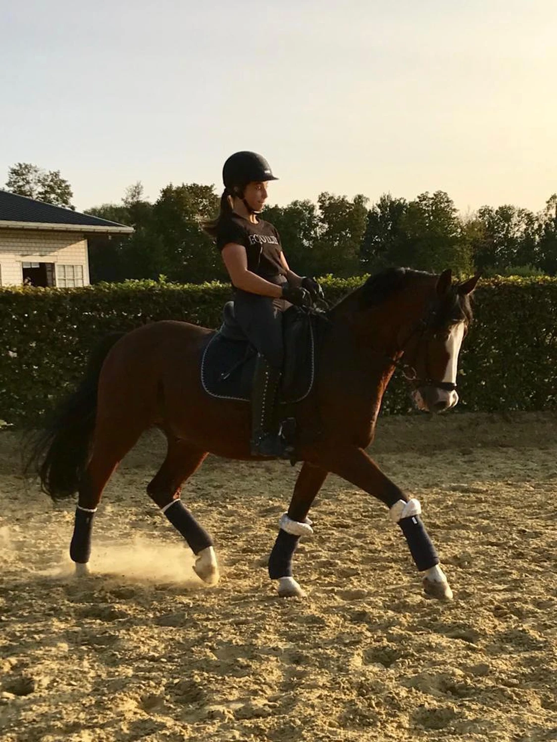 Reitunterricht für Kinder in Düsseldorf /Essen /Mülheim 